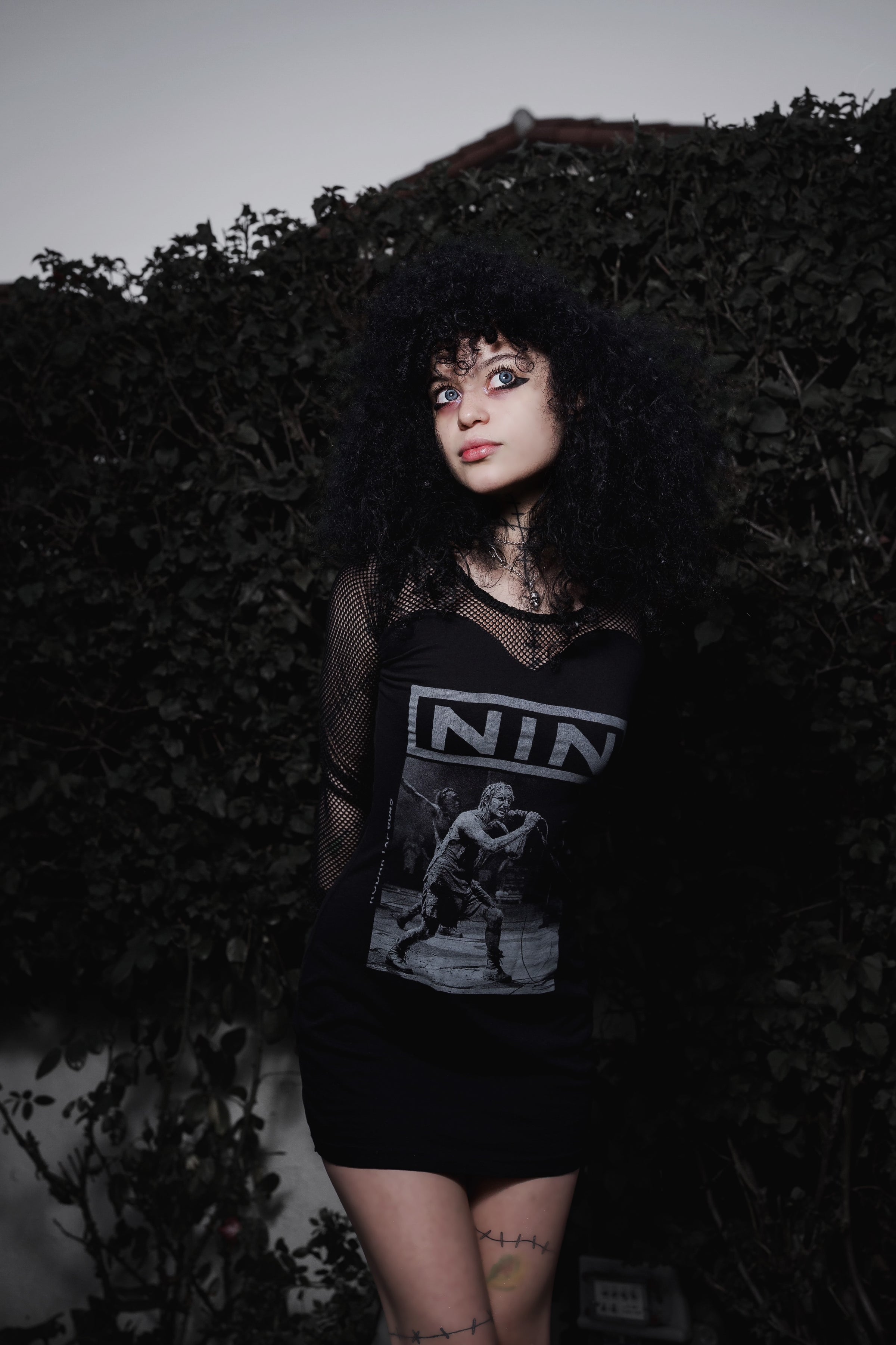 NIN Fishnet Dress