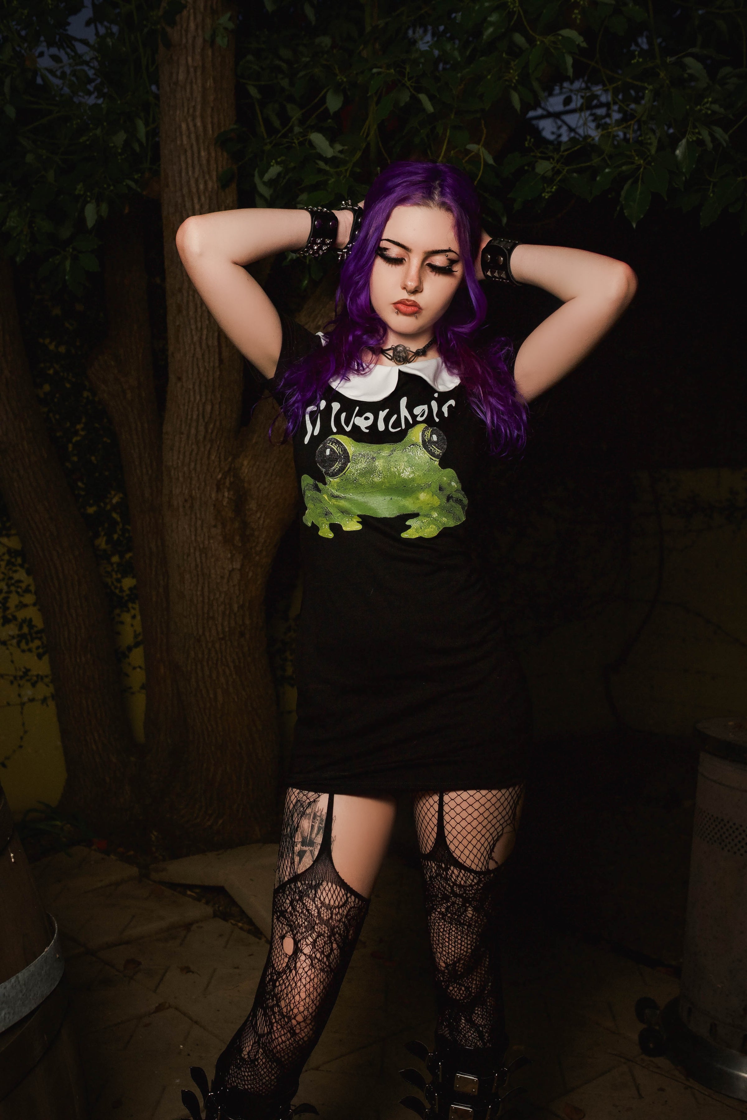 Silverchair Peter Pan Collar Dress