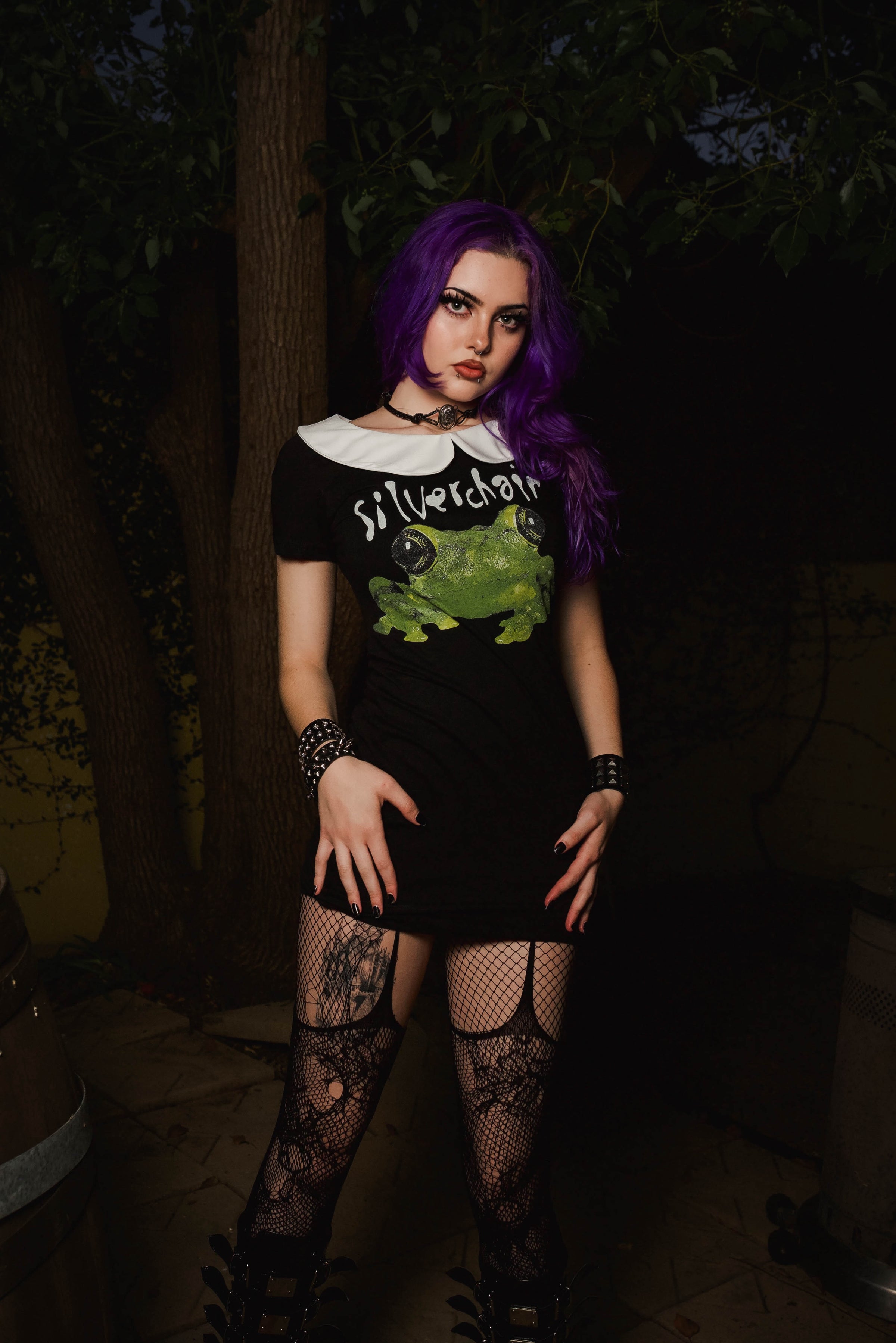 Silverchair Peter Pan Collar Dress