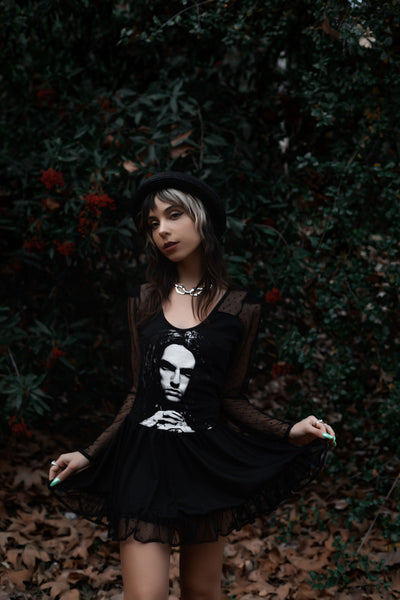 Peter Steele Ballerina Mesh Dress